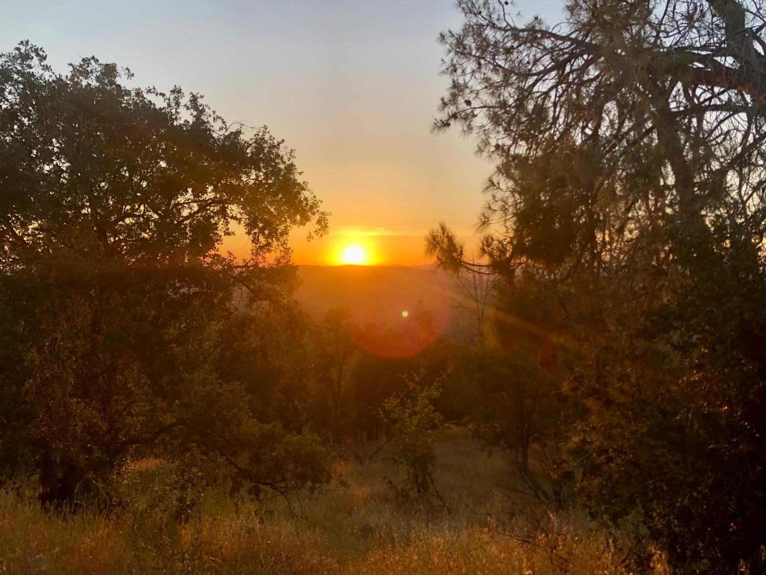 80 City View, Coarsegold, CA 93614