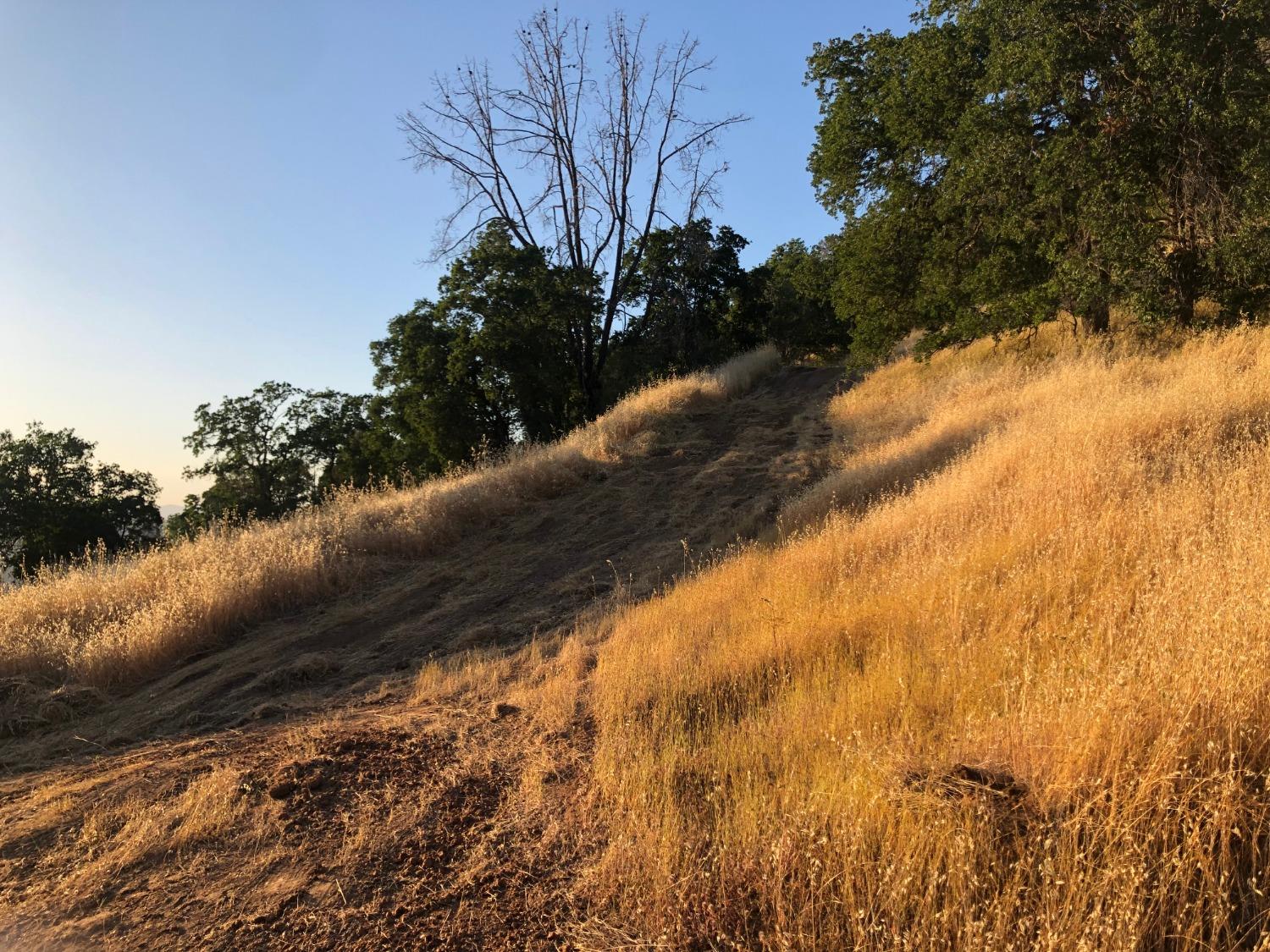 80 City View, Coarsegold, CA 93614