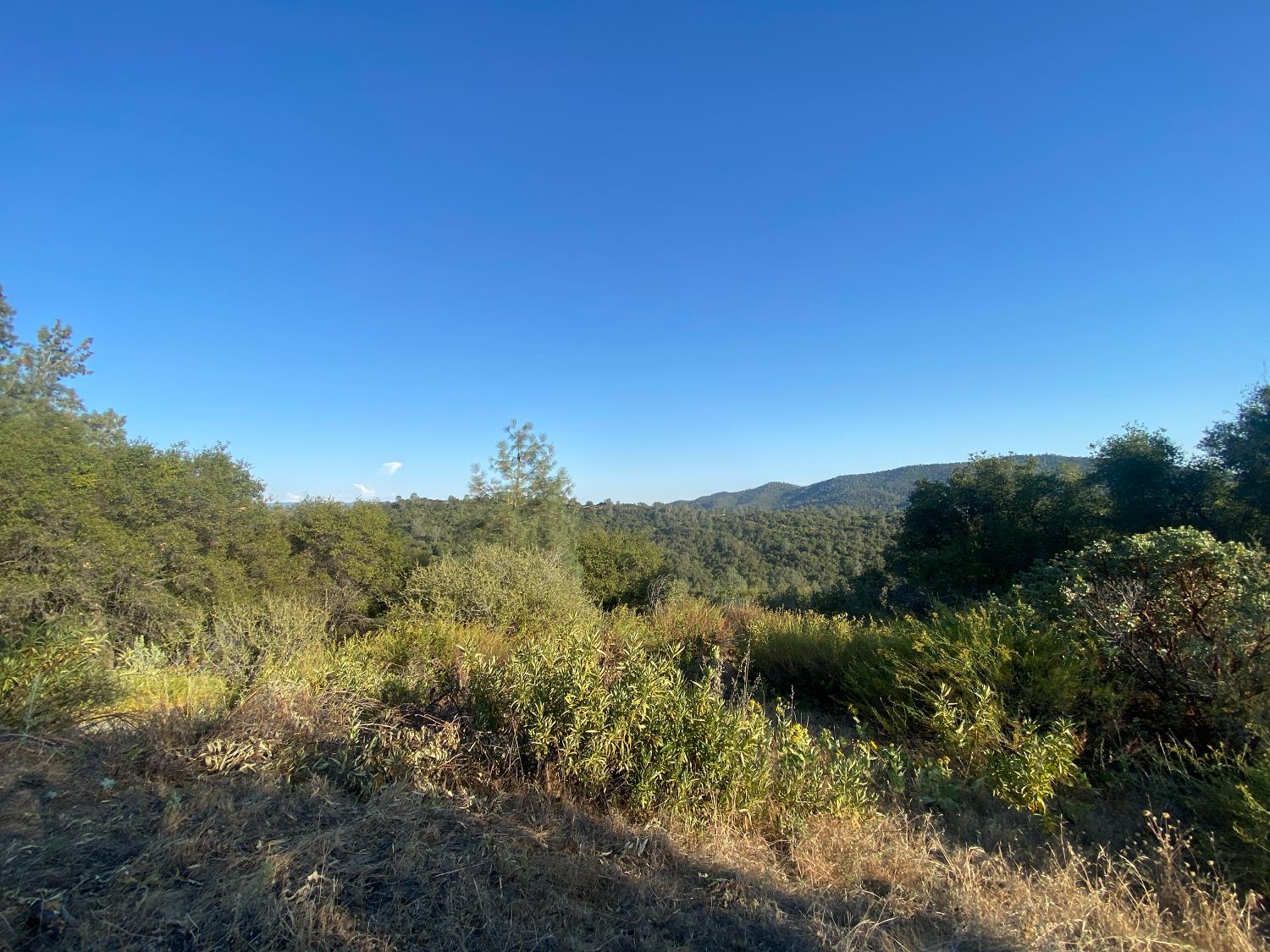 53748 Dogwood Dr, North Fork, CA 93643