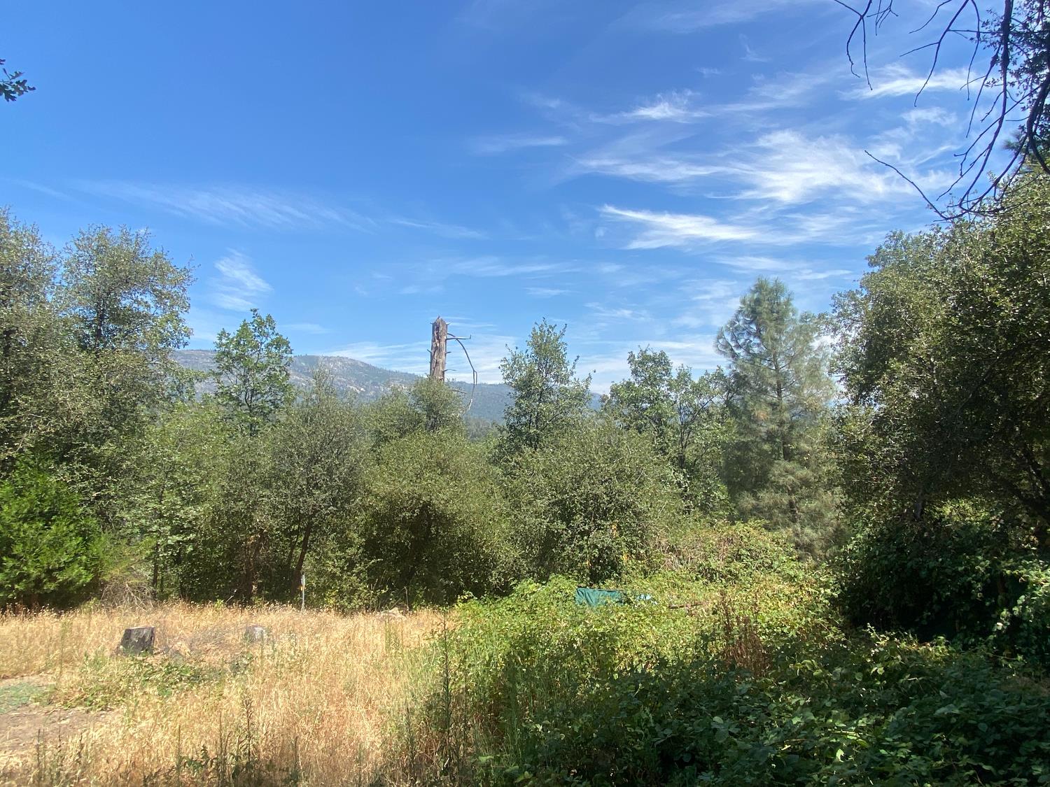 35995 Sierra Linda Dr, Wishon, CA 93669