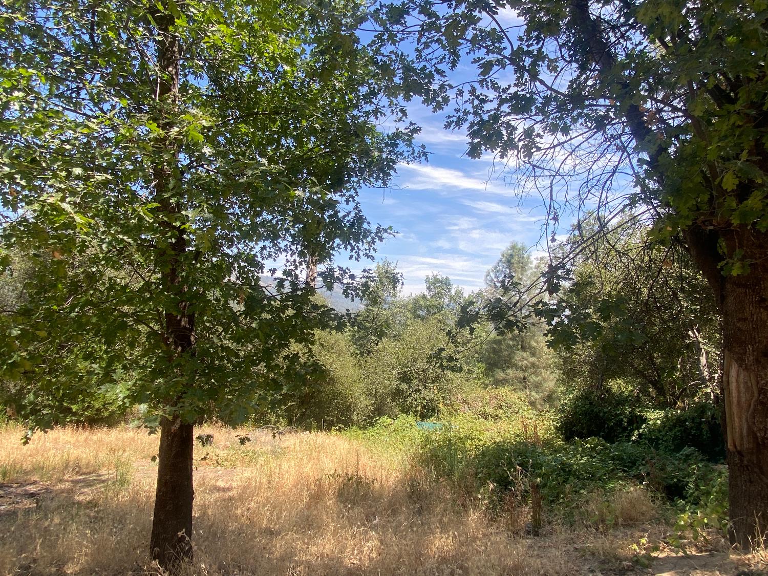 35995 Sierra Linda Dr, Wishon, CA 93669