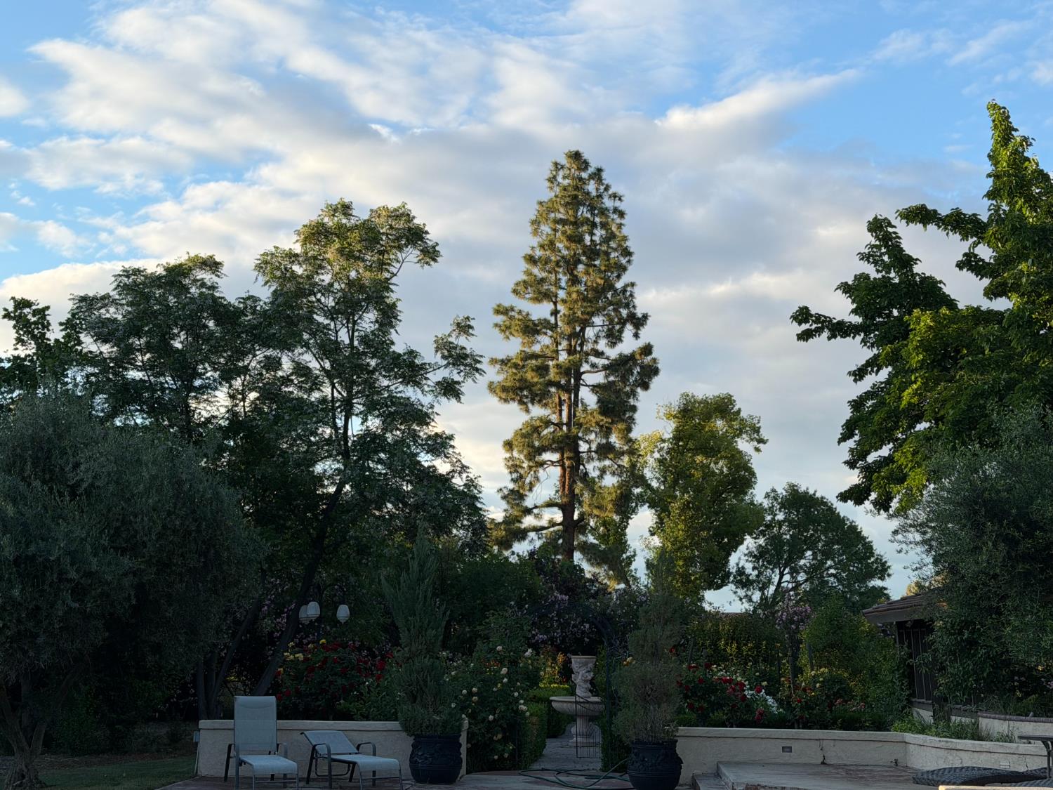 5334 N Marjan Ave, Clovis, CA 93619
