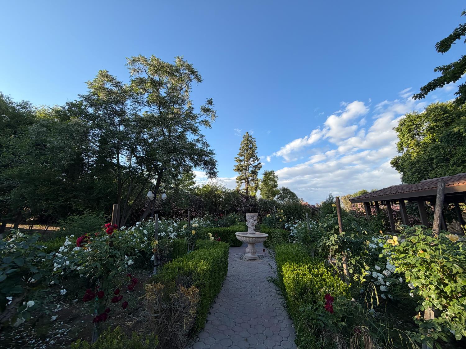5334 N Marjan Ave, Clovis, CA 93619