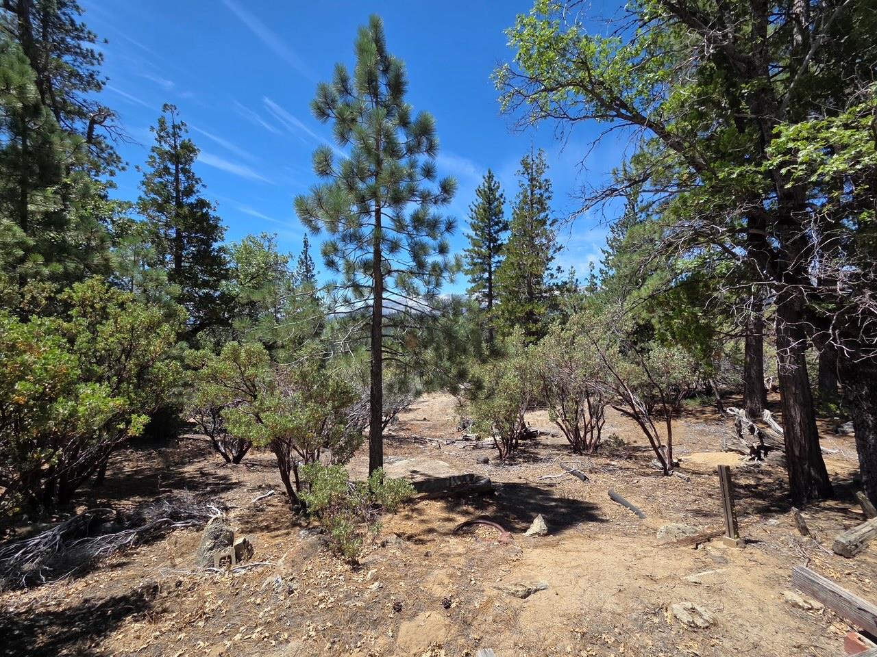 167 Pine Cone Path, North Fork, CA 93643