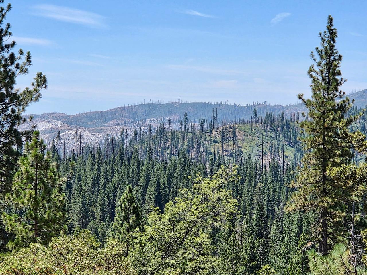 167 Pine Cone Path, North Fork, CA 93643