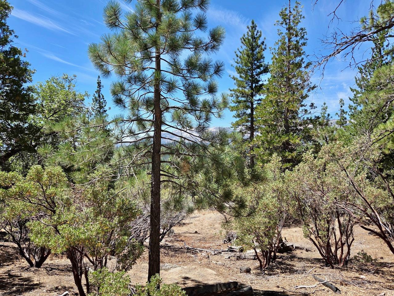 167 Pine Cone Path, North Fork, CA 93643
