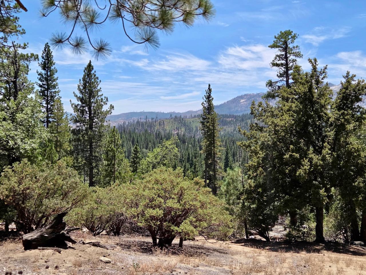 167 Pine Cone Path, North Fork, CA 93643