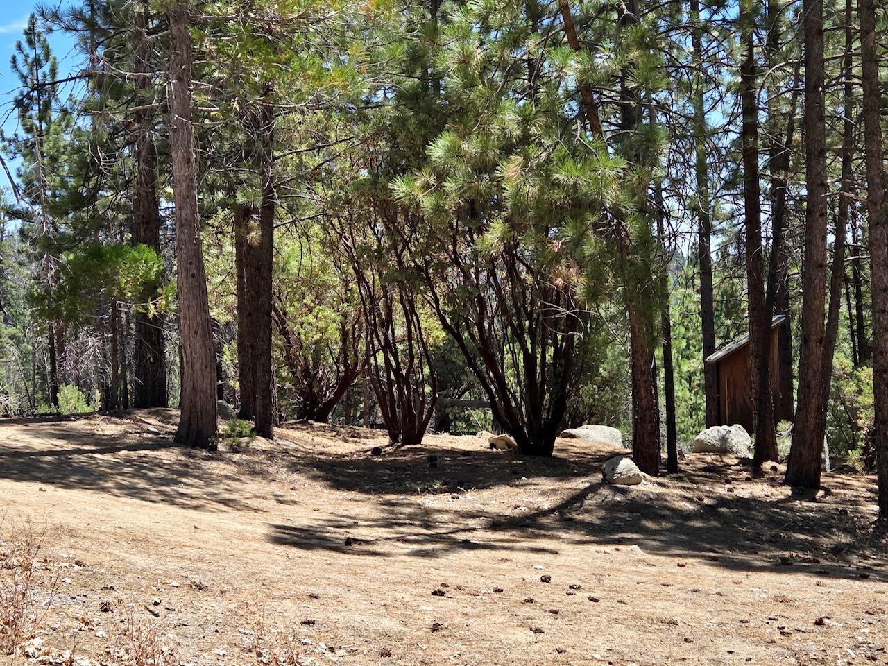 167 Pine Cone Path, North Fork, CA 93643