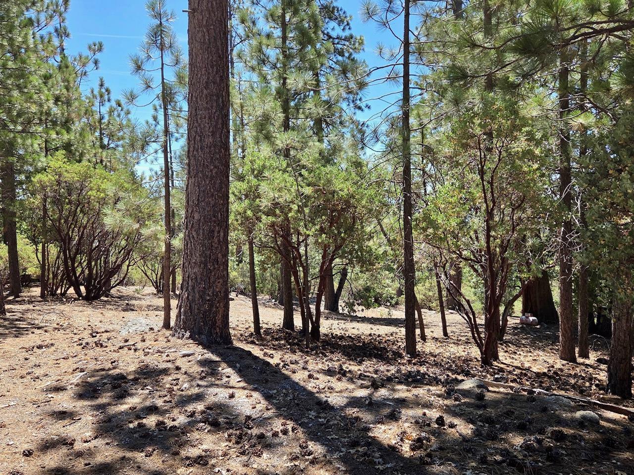 167 Pine Cone Path, North Fork, CA 93643