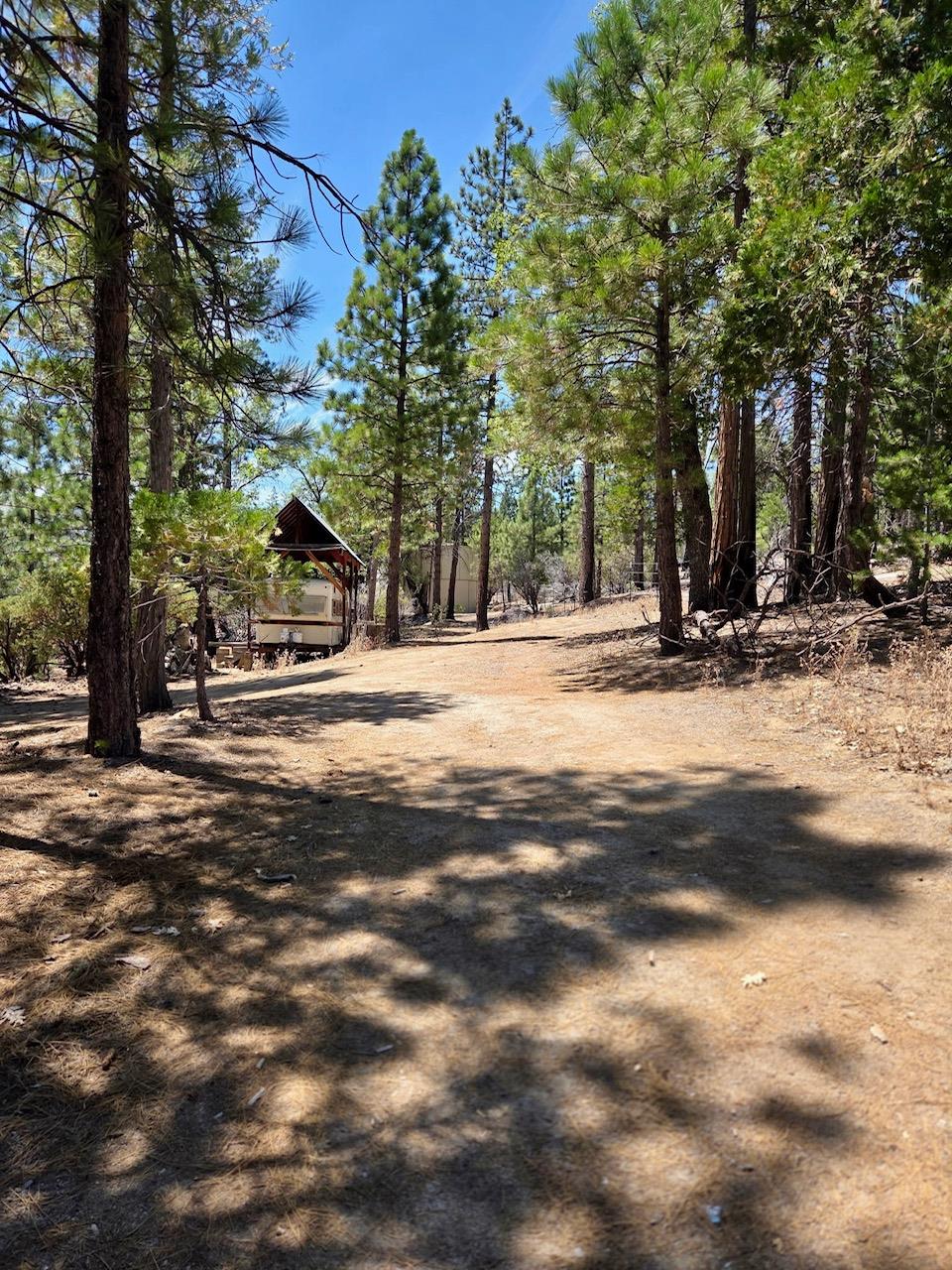 167 Pine Cone Path, North Fork, CA 93643