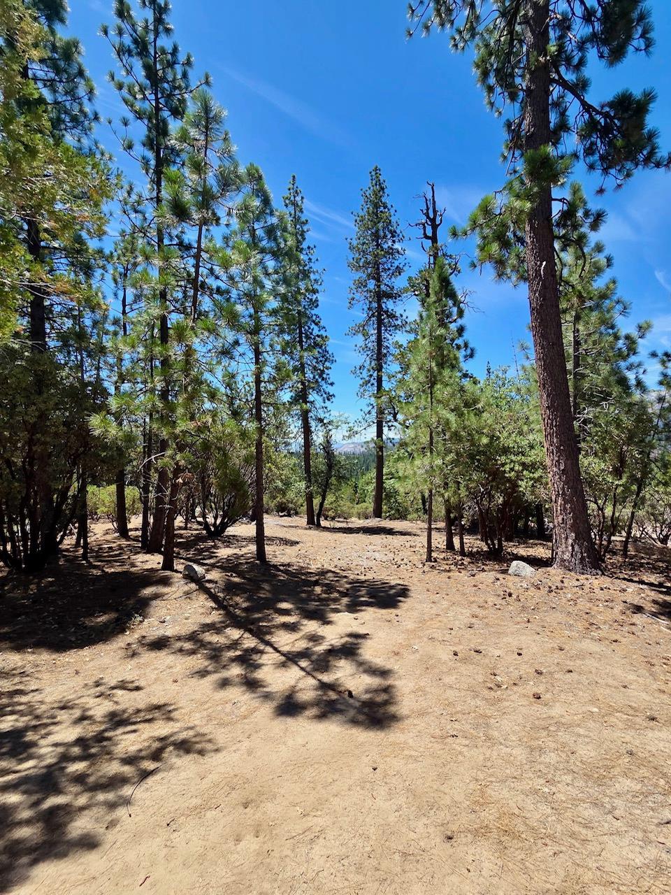 167 Pine Cone Path, North Fork, CA 93643