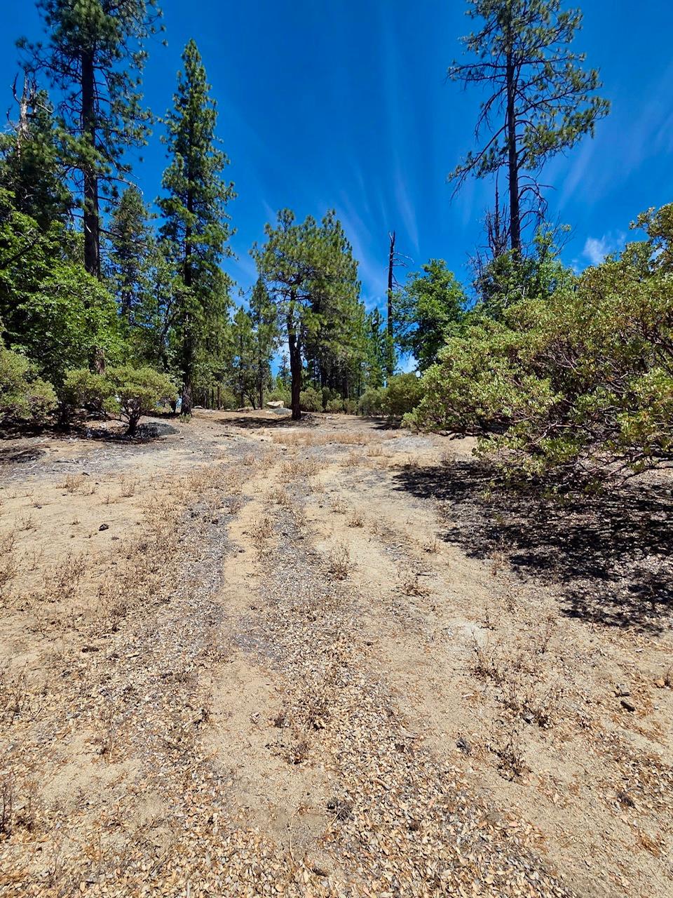 167 Pine Cone Path, North Fork, CA 93643
