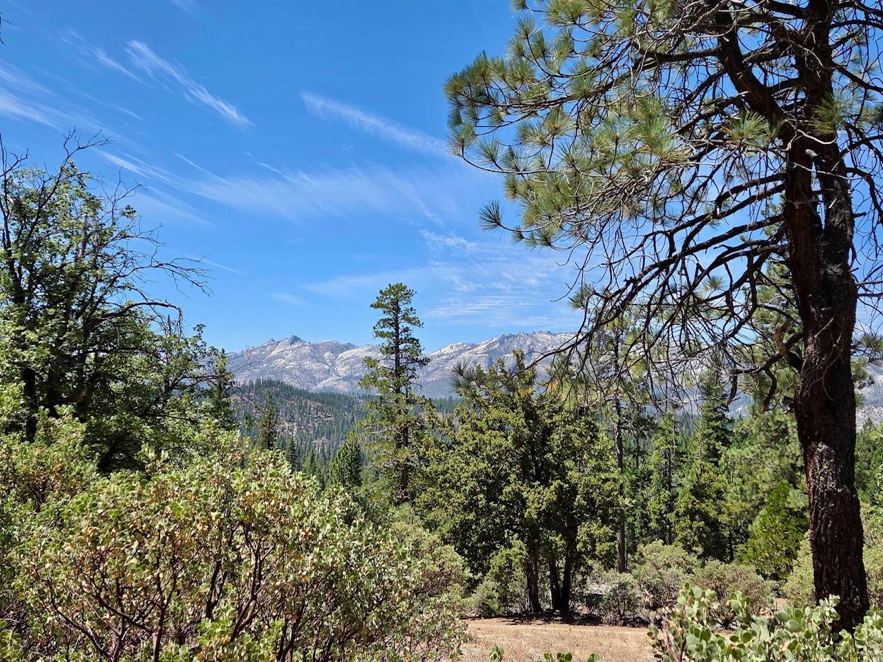 167 Pine Cone Path, North Fork, CA 93643