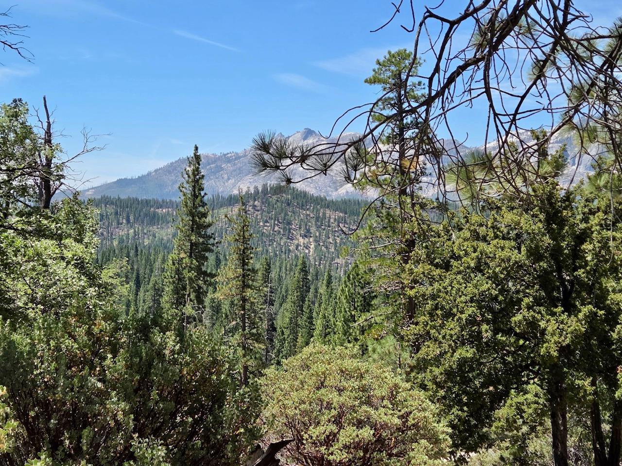 167 Pine Cone Path, North Fork, CA 93643