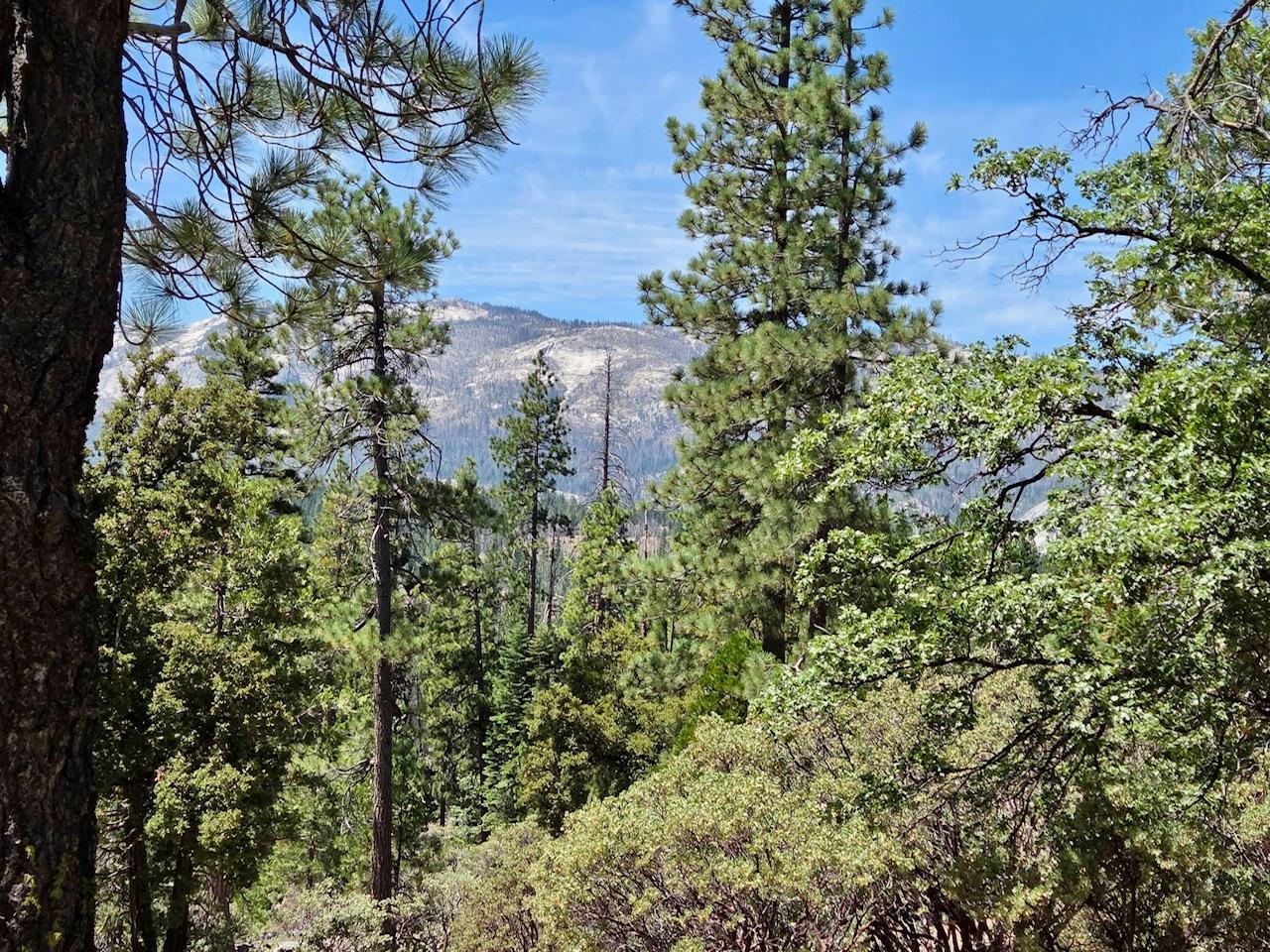 167 Pine Cone Path, North Fork, CA 93643