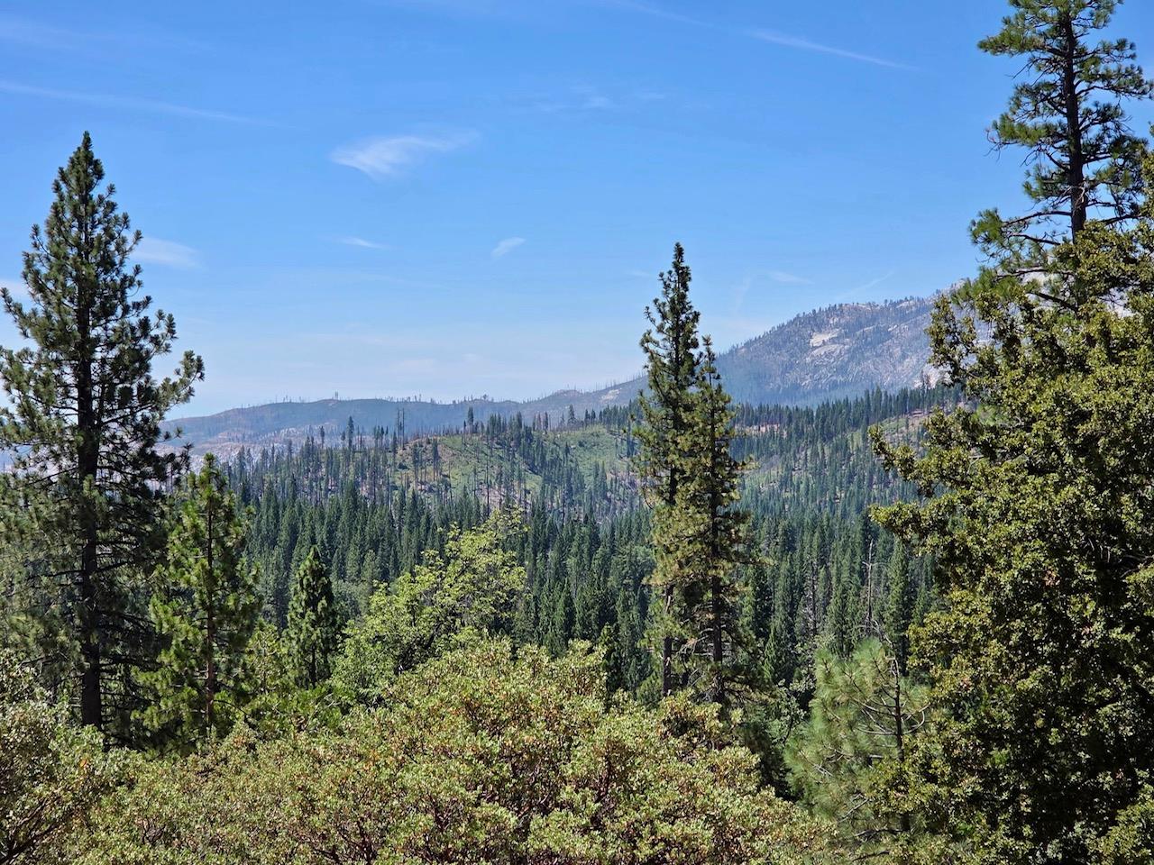 167 Pine Cone Path, North Fork, CA 93643