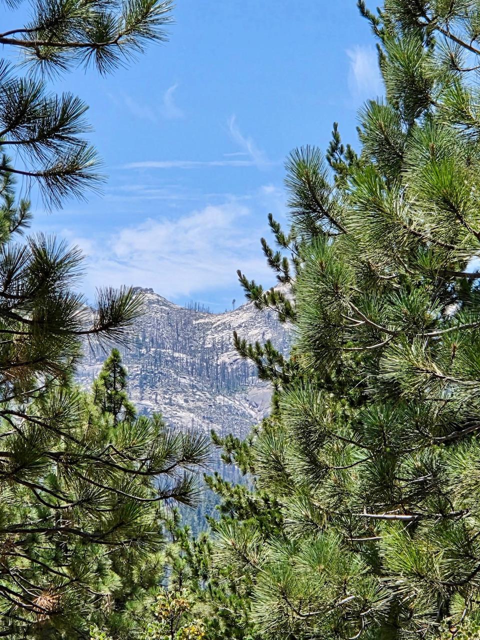 167 Pine Cone Path, North Fork, CA 93643