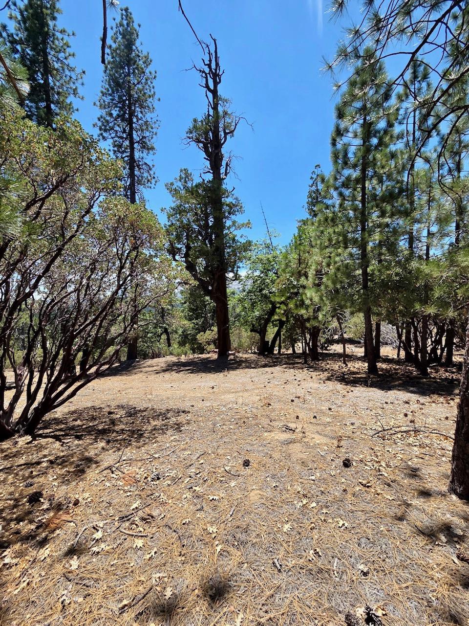 167 Pine Cone Path, North Fork, CA 93643