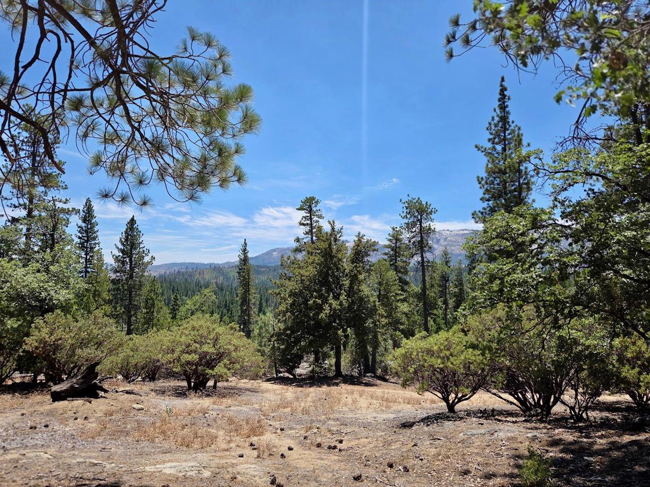167 Pine Cone Path, North Fork, CA 93643