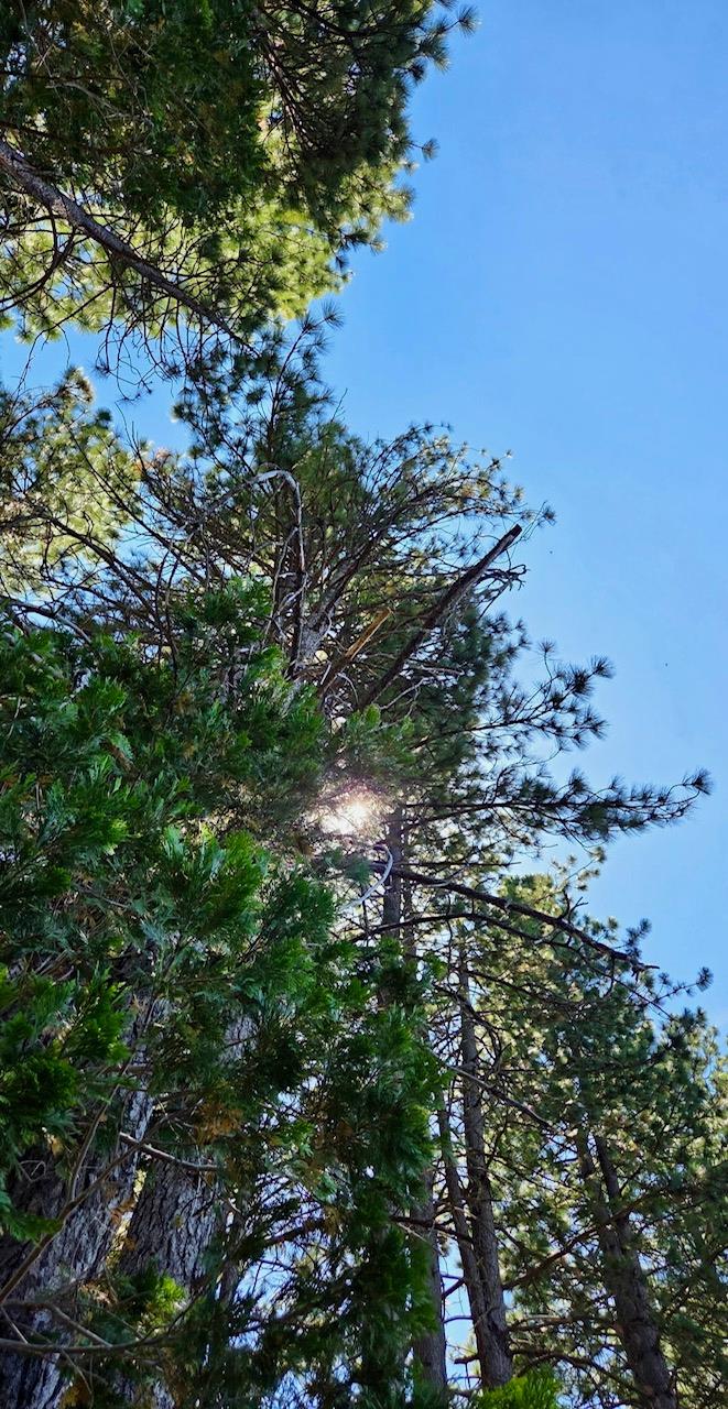 167 Pine Cone Path, North Fork, CA 93643