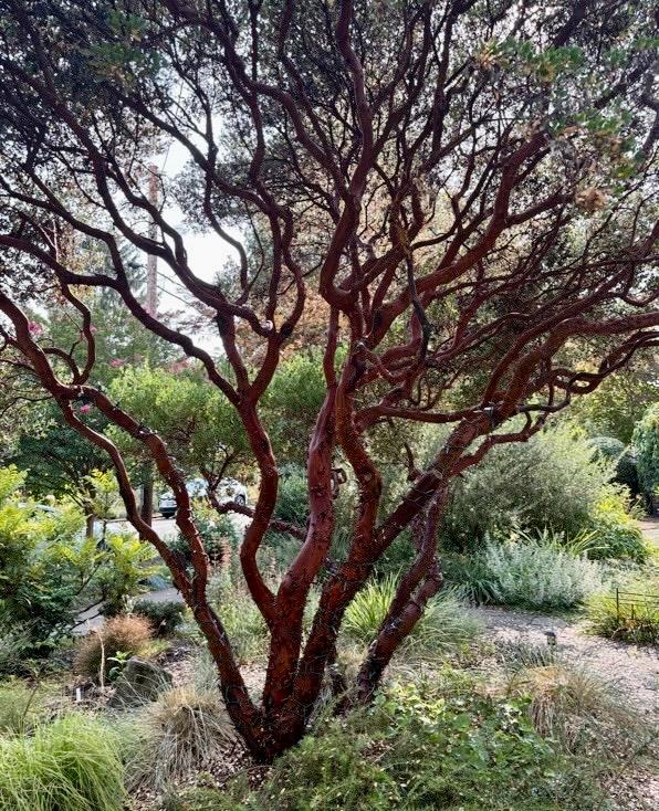 167 Pine Cone Path, North Fork, CA 93643