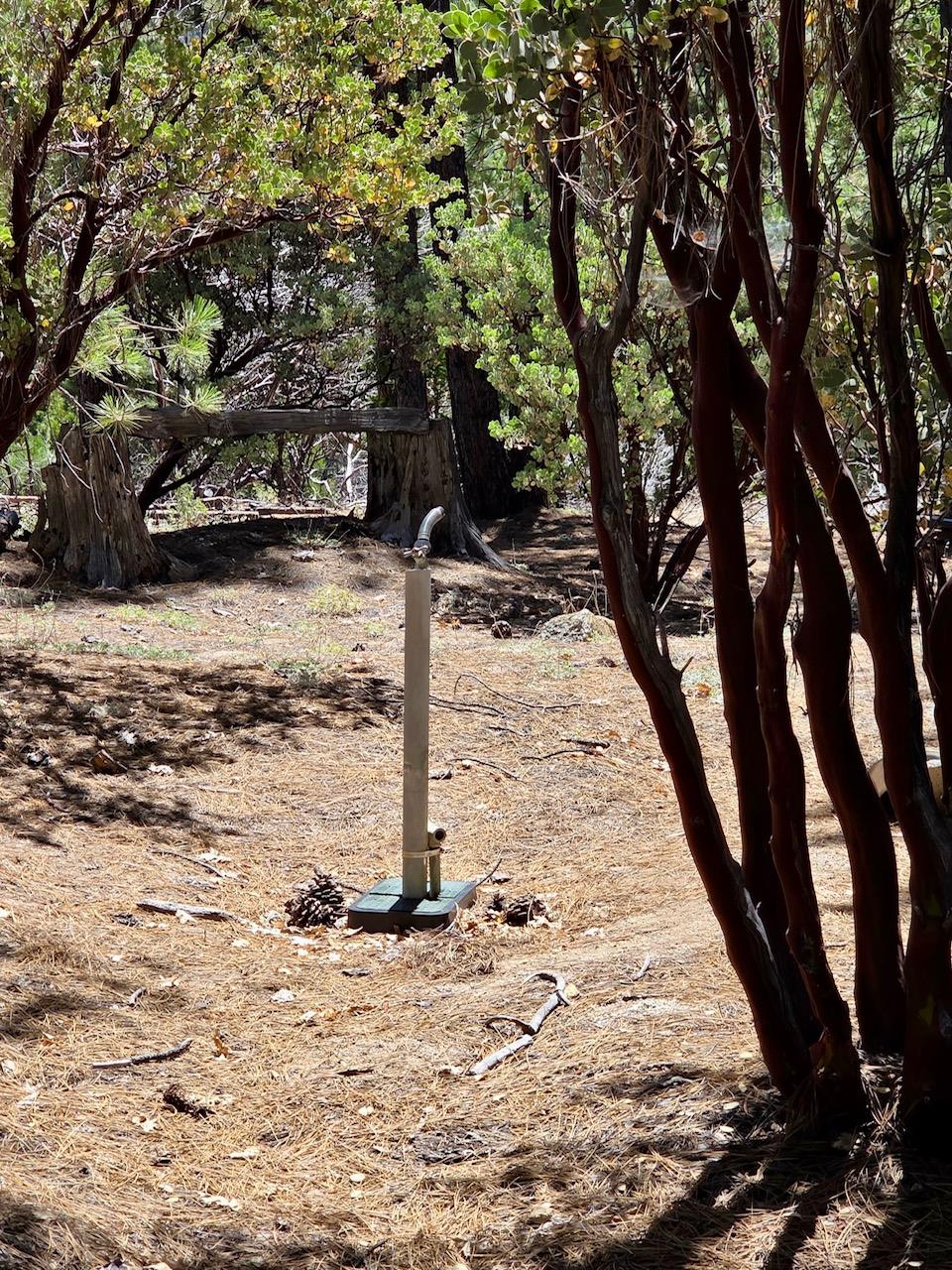 167 Pine Cone Path, North Fork, CA 93643
