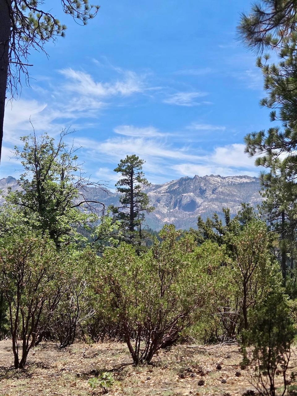 167 Pine Cone Path, North Fork, CA 93643