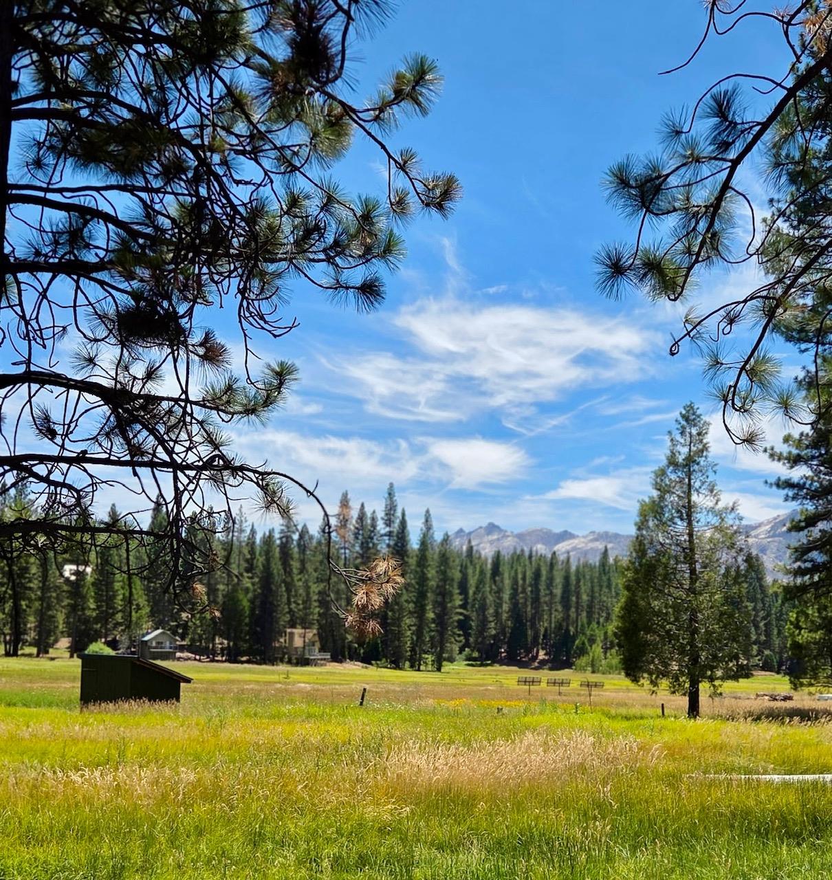 167 Pine Cone Path, North Fork, CA 93643