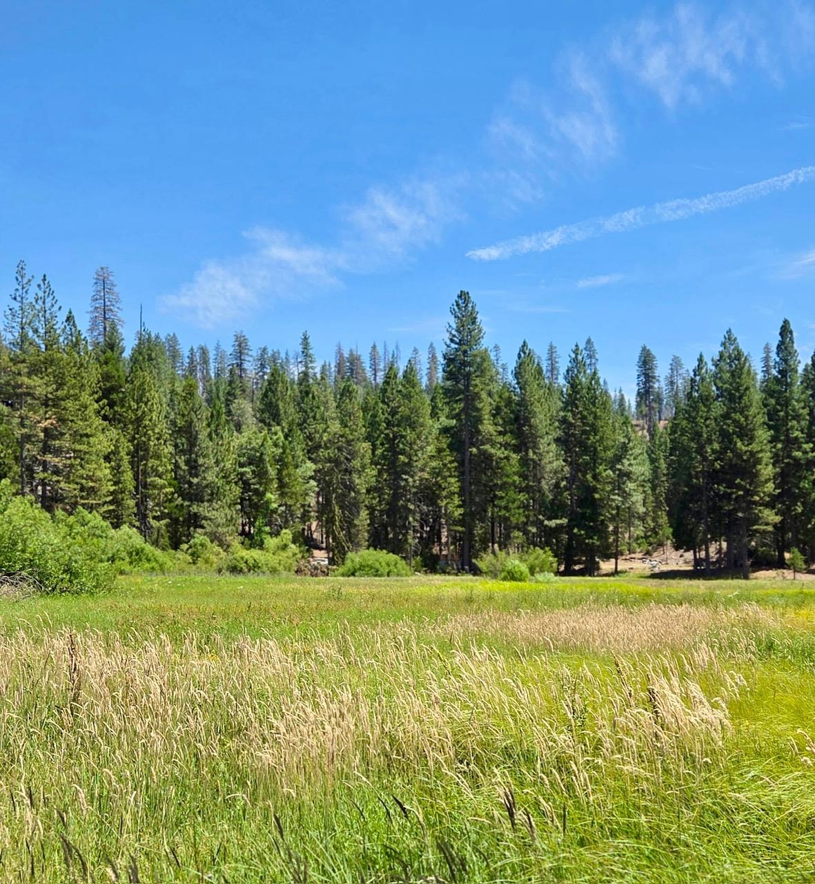167 Pine Cone Path, North Fork, CA 93643