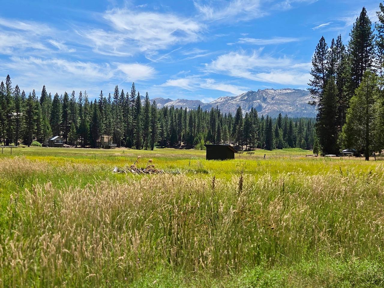 167 Pine Cone Path, North Fork, CA 93643