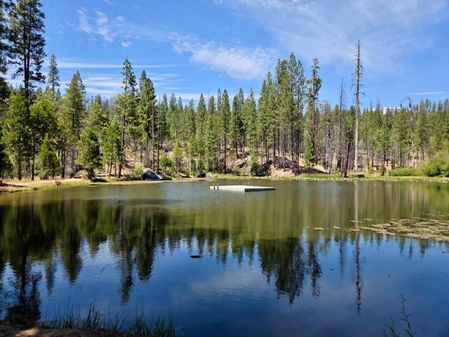 167 Pine Cone Path, North Fork, CA 93643