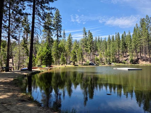 167 Pine Cone Path, North Fork, CA 93643