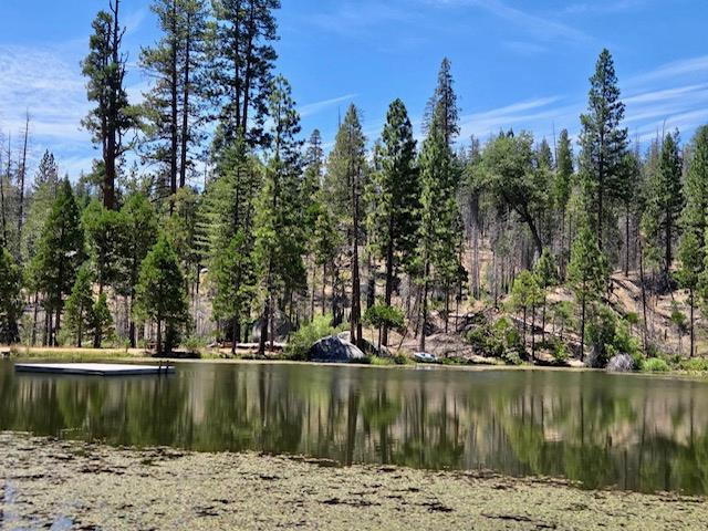 167 Pine Cone Path, North Fork, CA 93643