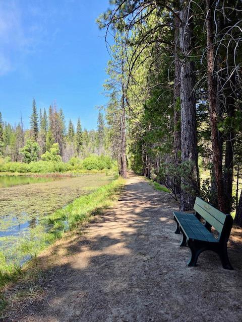 167 Pine Cone Path, North Fork, CA 93643