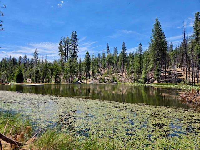 167 Pine Cone Path, North Fork, CA 93643