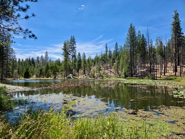167 Pine Cone Path, North Fork, CA 93643