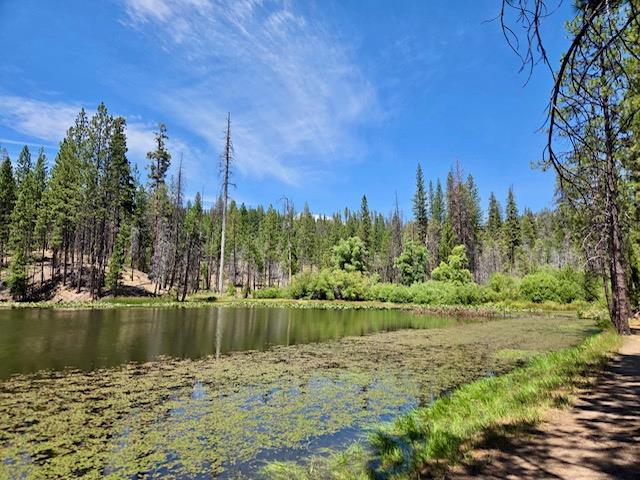 167 Pine Cone Path, North Fork, CA 93643
