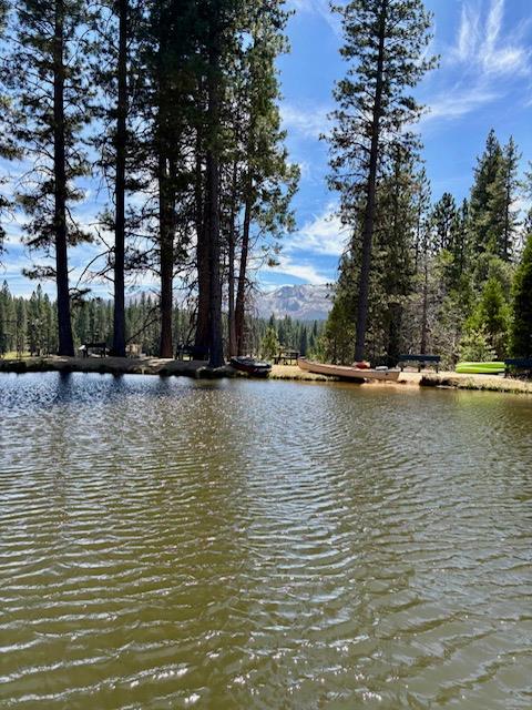 167 Pine Cone Path, North Fork, CA 93643