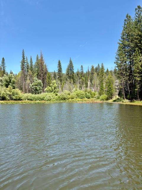 167 Pine Cone Path, North Fork, CA 93643