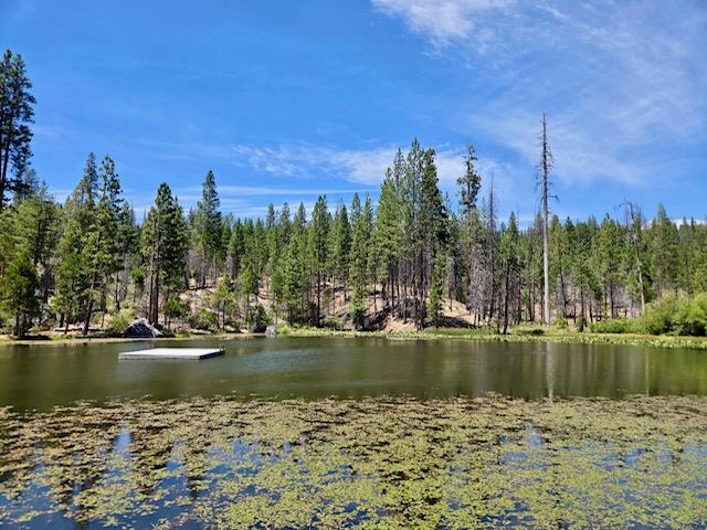 167 Pine Cone Path, North Fork, CA 93643