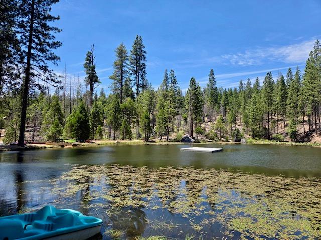 167 Pine Cone Path, North Fork, CA 93643