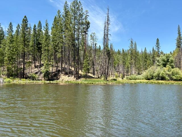 167 Pine Cone Path, North Fork, CA 93643