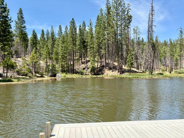 167 Pine Cone Path, North Fork, CA 93643