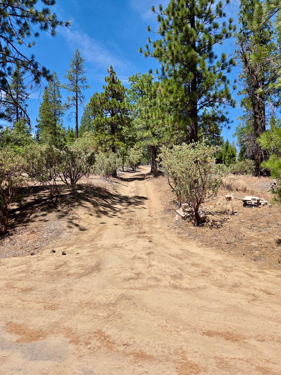167 Pine Cone Path, North Fork, CA 93643