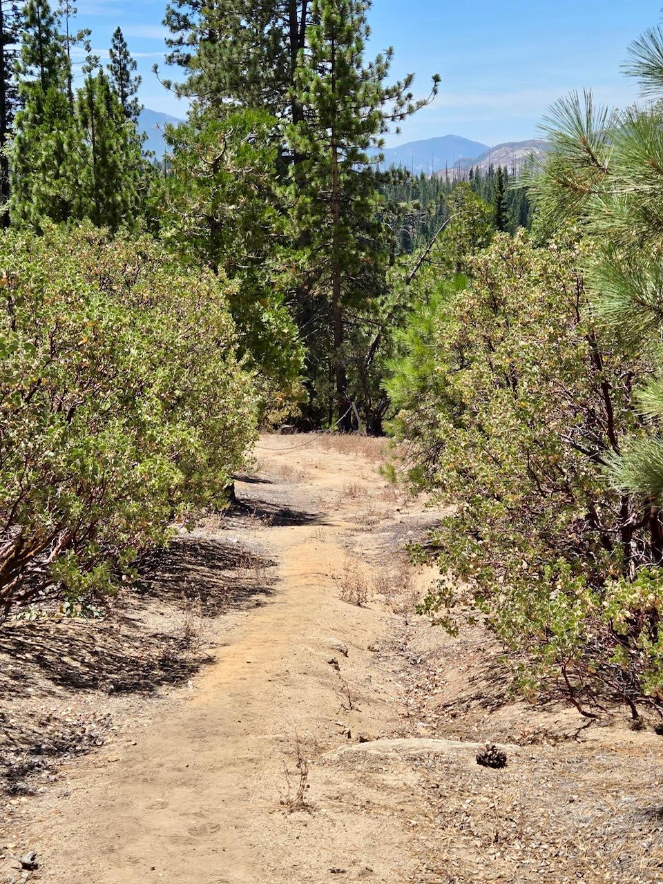 167 Pine Cone Path, North Fork, CA 93643