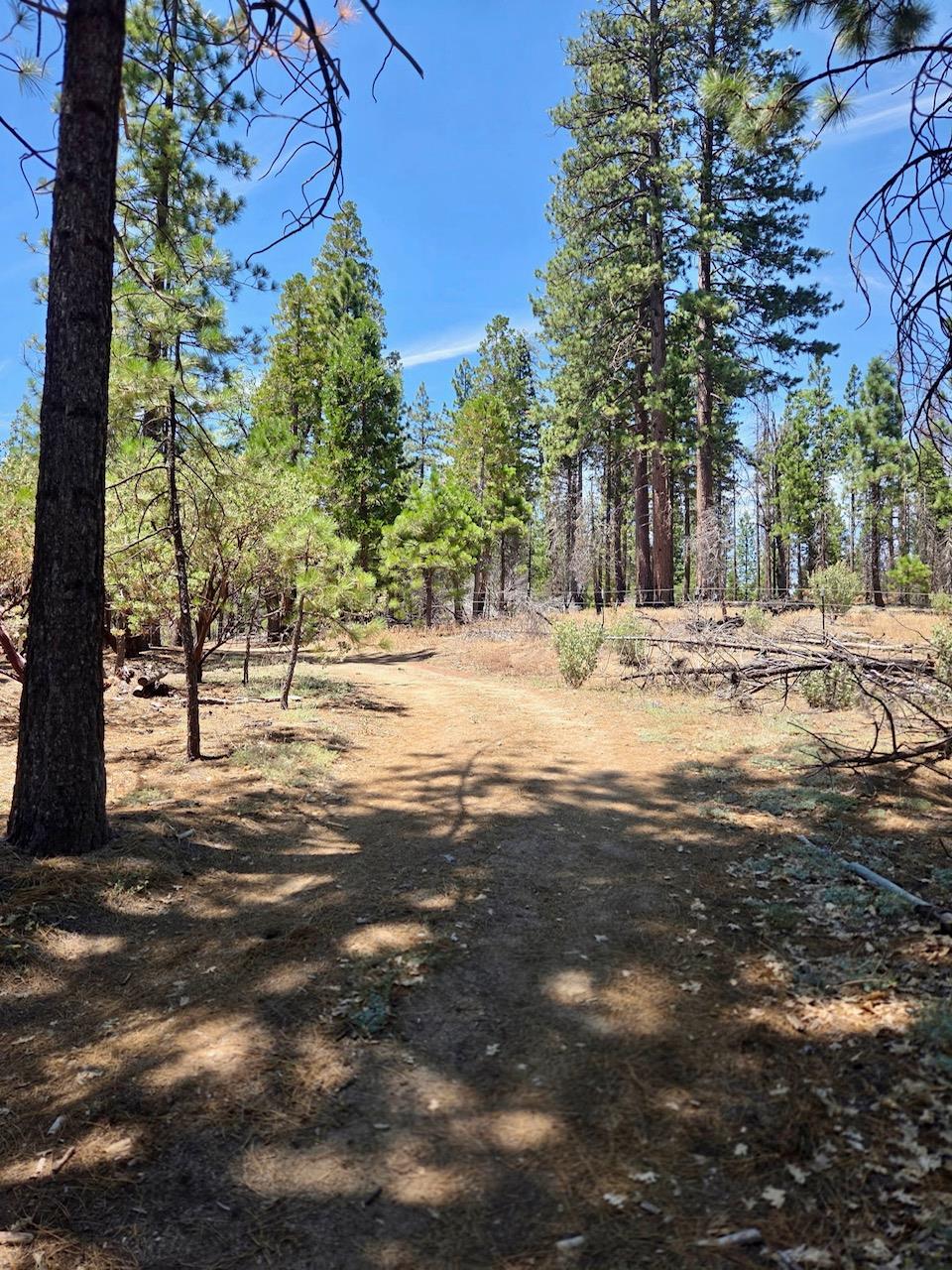 167 Pine Cone Path, North Fork, CA 93643