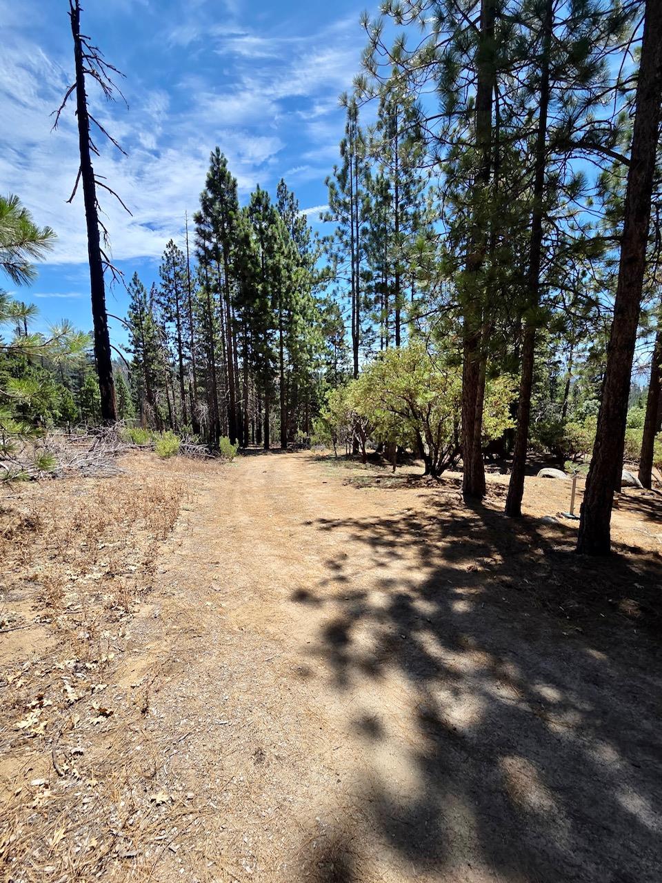 167 Pine Cone Path, North Fork, CA 93643