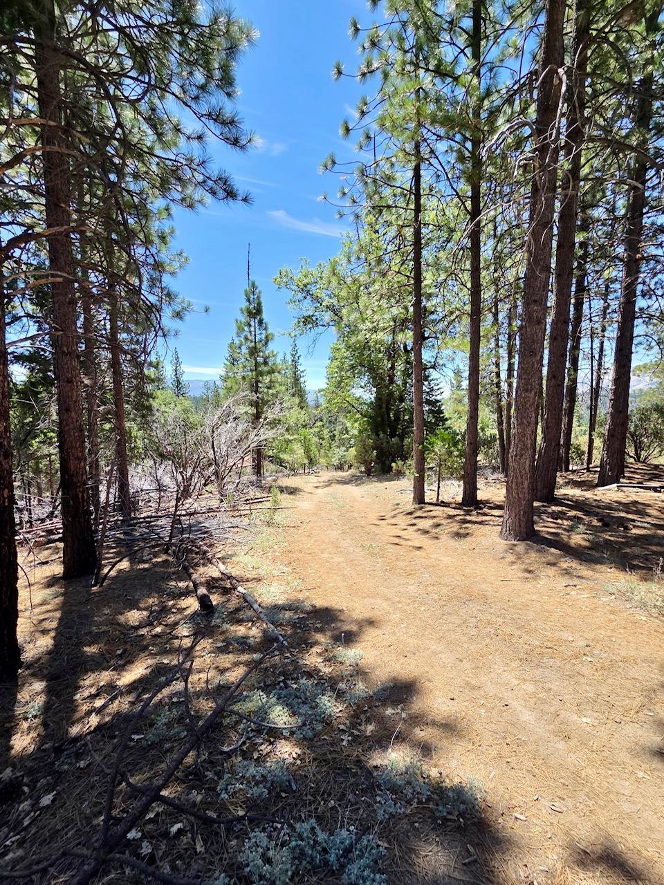 167 Pine Cone Path, North Fork, CA 93643