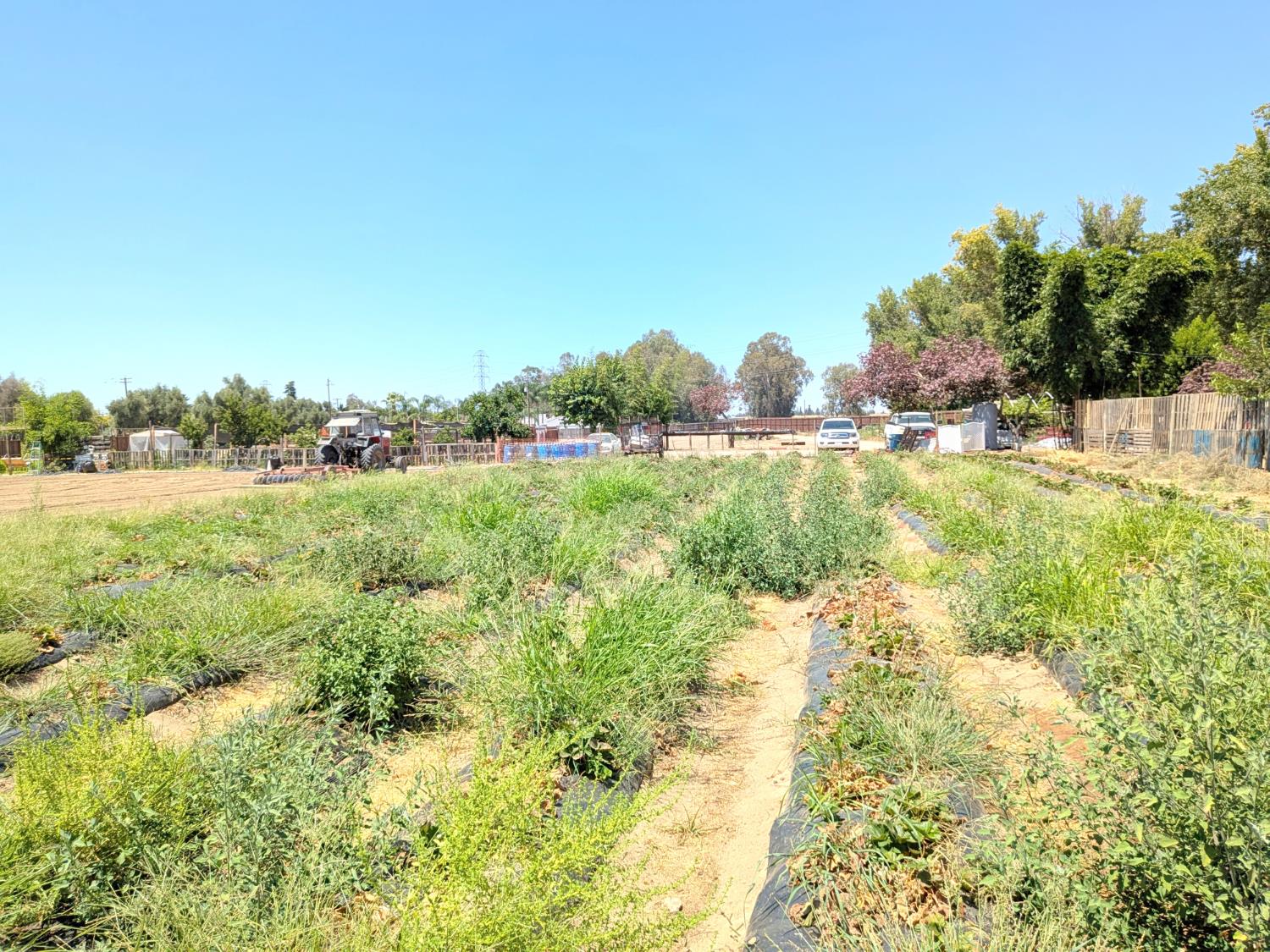 284 S Temperance Ave, Fresno, CA 93727