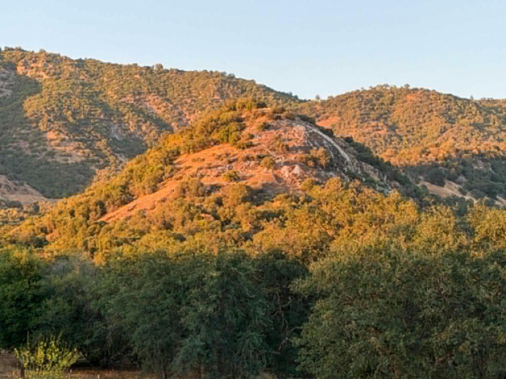 39950 Millwood Rd, Dunlap, CA 93621
